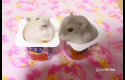 Isso que acontece quando você rouba a comida do amiguinho