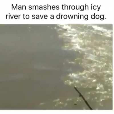 Man smashes through icy river to save drowned dog