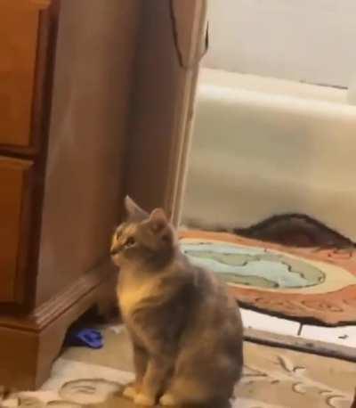 and Out of Wedlock! For Shame!