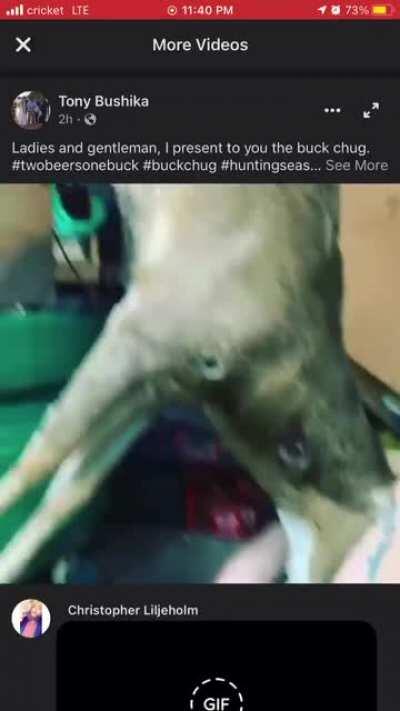The buck chug