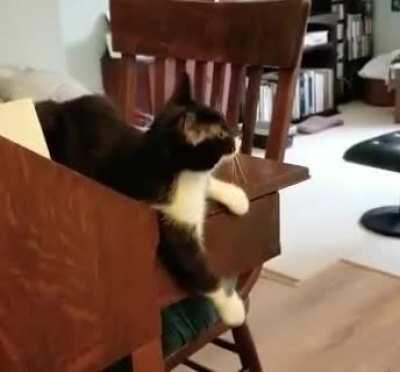 Kitty sign language for “NEED”