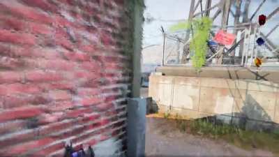 Do they enjoy playing like this