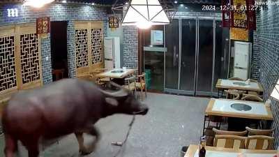 Maxis when China makes another crypto ban announcement…