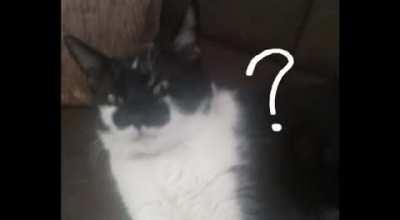 My life as a teenage b*tch (edited by my friend)