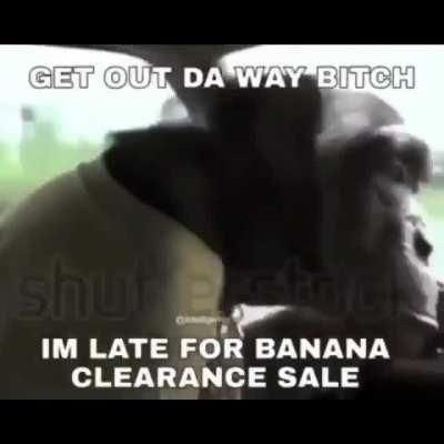 monke is the operator of truck-kun