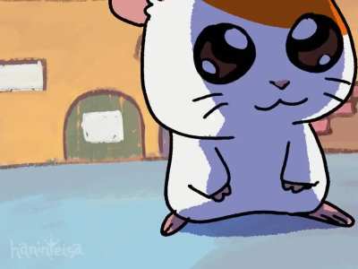 [Video][SOUND] Chipi Chipi Chapa Chapa