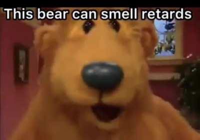 Esse urso consegue farejar retardados