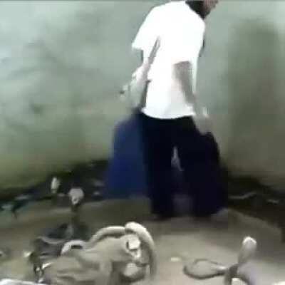 Experienced developer restructures the code (no tests)