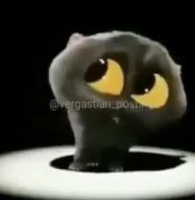 Dije Reven esta loco ahora cumeenme