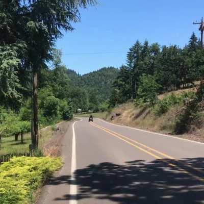 Was clocked at “57mph” other than gearing the rest was stock let’s go