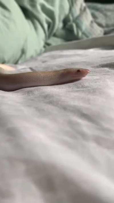 Doin a little explore ♥️