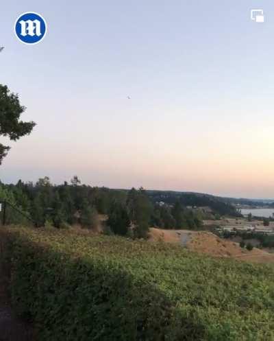 Airline employee hijacks an empty plane and takes it on a joy ride.