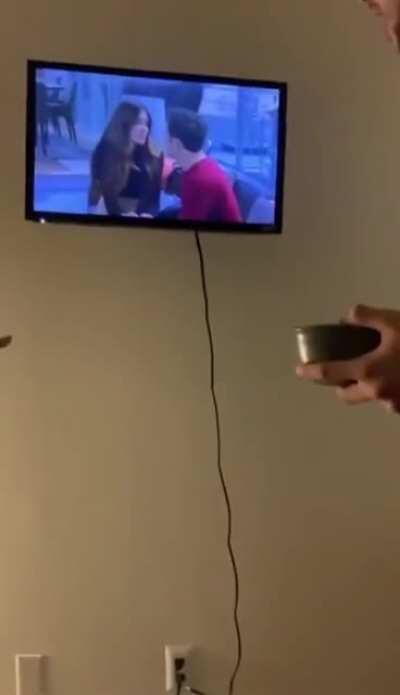 To put the broken TV out of its misery