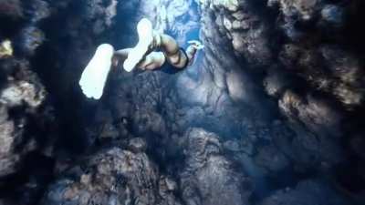 diving down this under water canyon