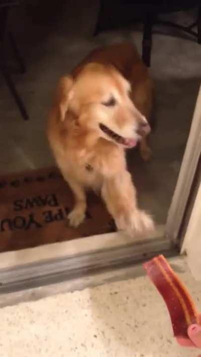 Once you run into a glass door, you develop trust issues.