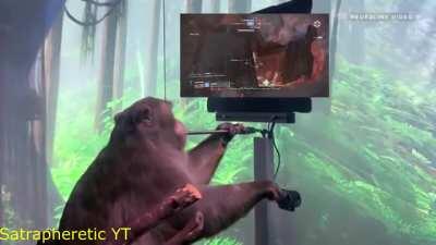 How Elon Trains A Felwinter's Lie user