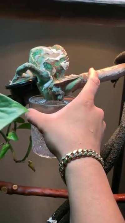 Mr. Flynn having a glass water👀😂