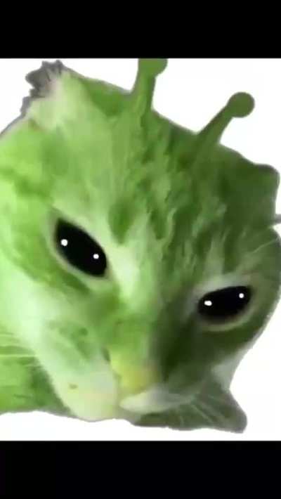 Swaggy new year 2 those who celebrate