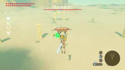 Well...that’s one way to get a Korok seed.