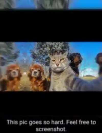 I'm 15 and this is yeet