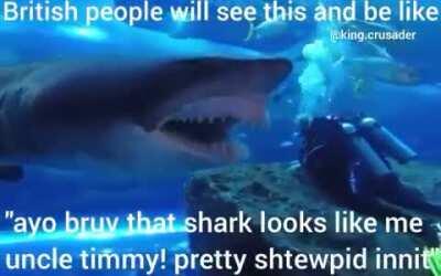 Its like he can speak to sharks caw caw