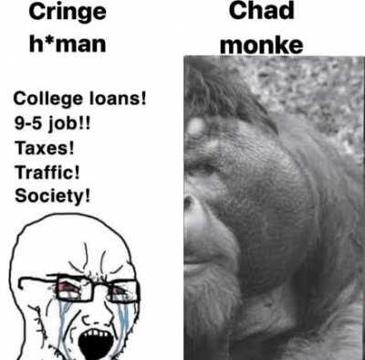 Sorry Bill, this is the real world, the monke gets the girl 😎🦍