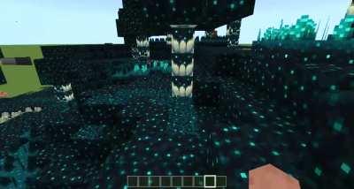 A custom biome I made themed around the sculk block for the 1.19 update [Bedrock]