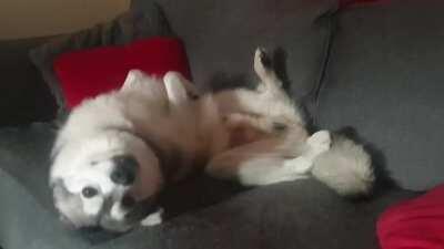 This was how I found him this morning...