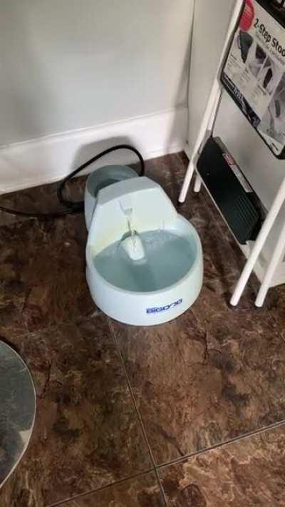 THIS water is better…