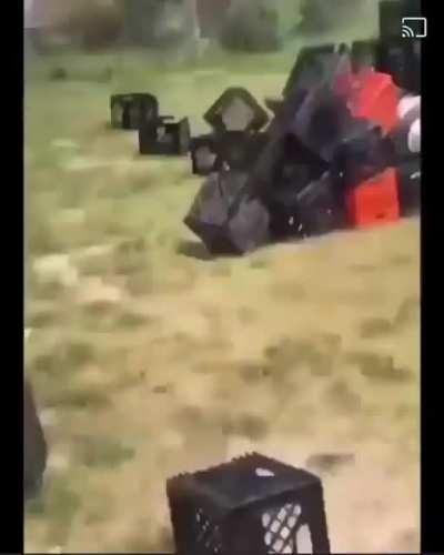 snoopdog said this the crackhead Olympics