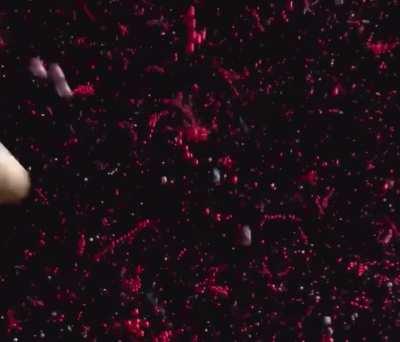 Simulation shows what happens to human body in a submersible implosion.