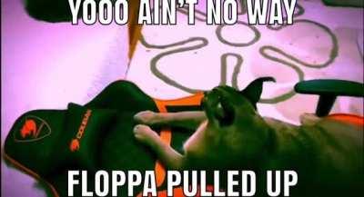 Leaked Floppa Mixtape what better day than Floppa Friday to post it