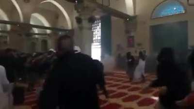 These men are defending al aqsa against the israeli occupation forces and herds that aim to defile this holy mosque, i call them men for their actions but they are mostly teenagers