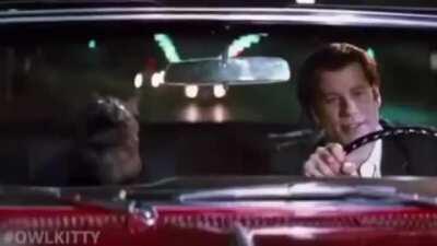 Пушистое чтиво