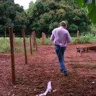 WCGW if I try to pet a horse that doesn't want to be petted