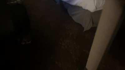 It took some convincing, but my husband asking me to fuck other people has been amazing 😏