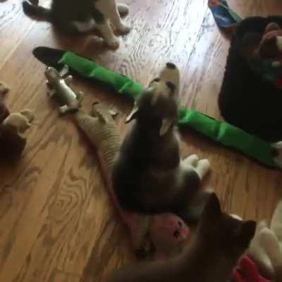 When babies are grown up but still want to breastfeed. But this mother refused. As a result, I have to listen to this all day