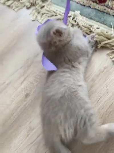 Helsinki loves playing and having fun