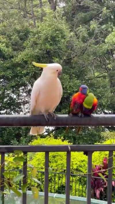 .... Can I touch it?