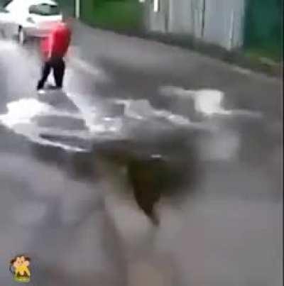 Totally Expected You’d Think