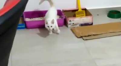 Mi gato esta mal calibrado