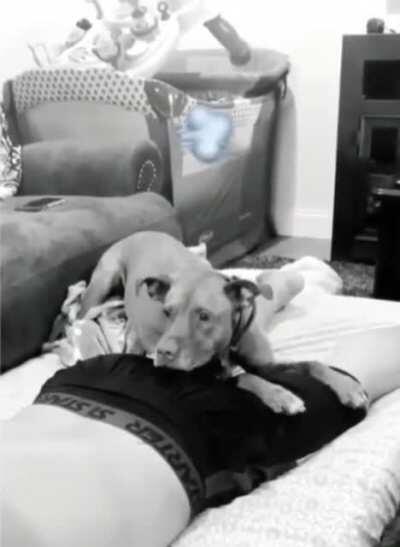 Человек, за что..?