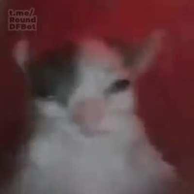 congrats you read the title