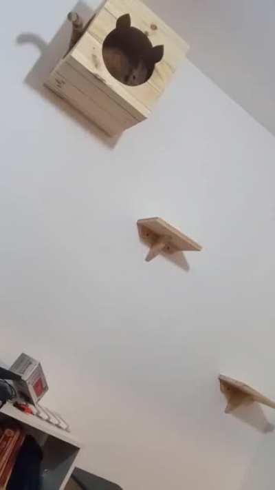 Look both ways before you jump