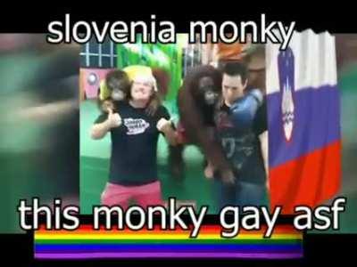 slovenski monky vs hrvatski monky
