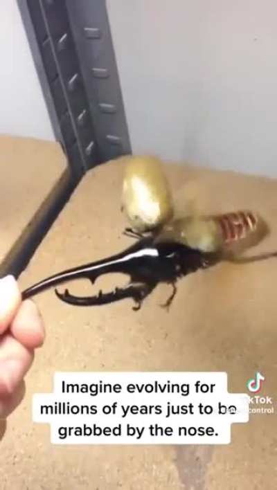 Got your nose! 👃 🫵