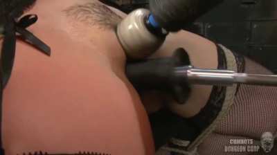 you are an orgasm cow right or right?