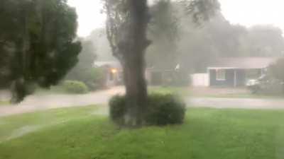 Rainy meditation for your Wednesday 🌩 filmed from my office.