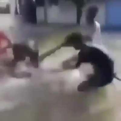 don't you ever want to try this?