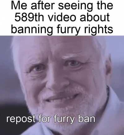 haha furry rights go brrrrrr